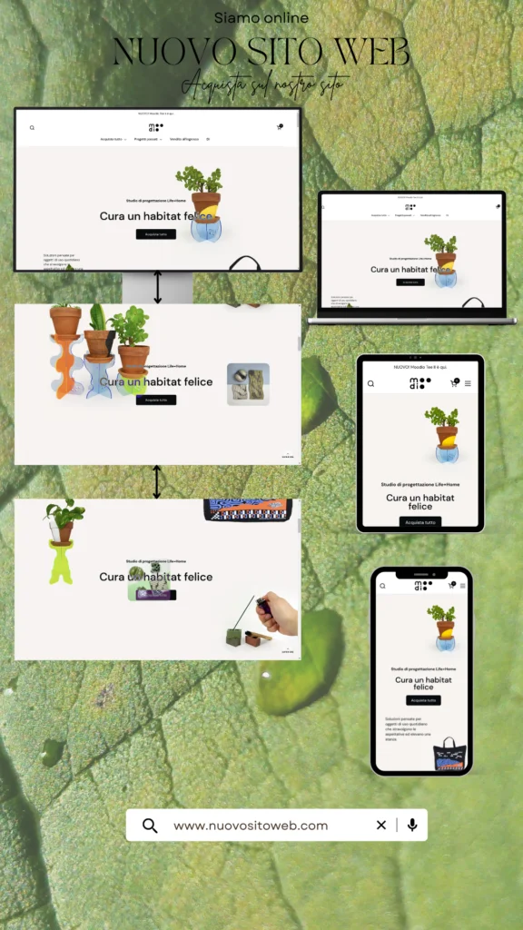 Realizzazione Siti Web Professionali: &nbsp;Bilgini Web Design